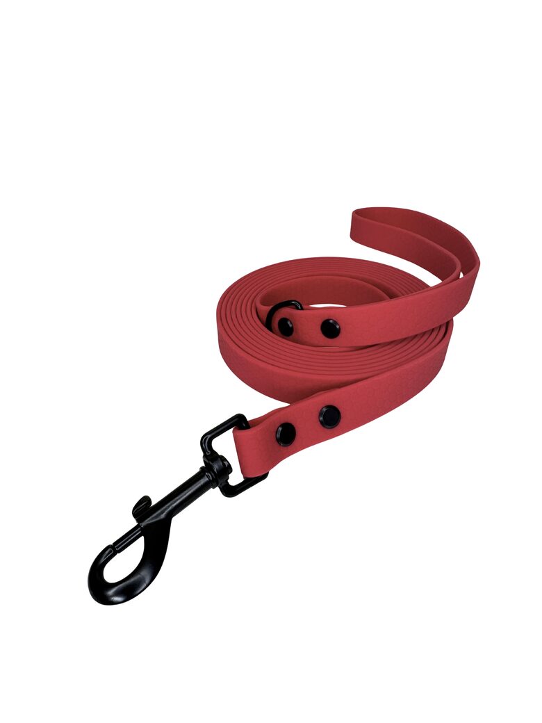 HEXA LEASH-VIVA MAGENTA 20MM 200CM